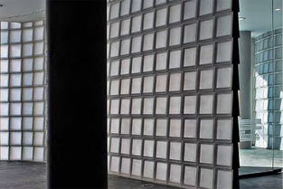 賽維斯玻璃磚 構(gòu)筑家居健康的墻磚建材新選擇