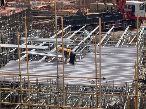 新技術(shù)驅(qū)動(dòng)下的木質(zhì)建筑廢棄物重生 從廢棄到建設(shè)新篇章